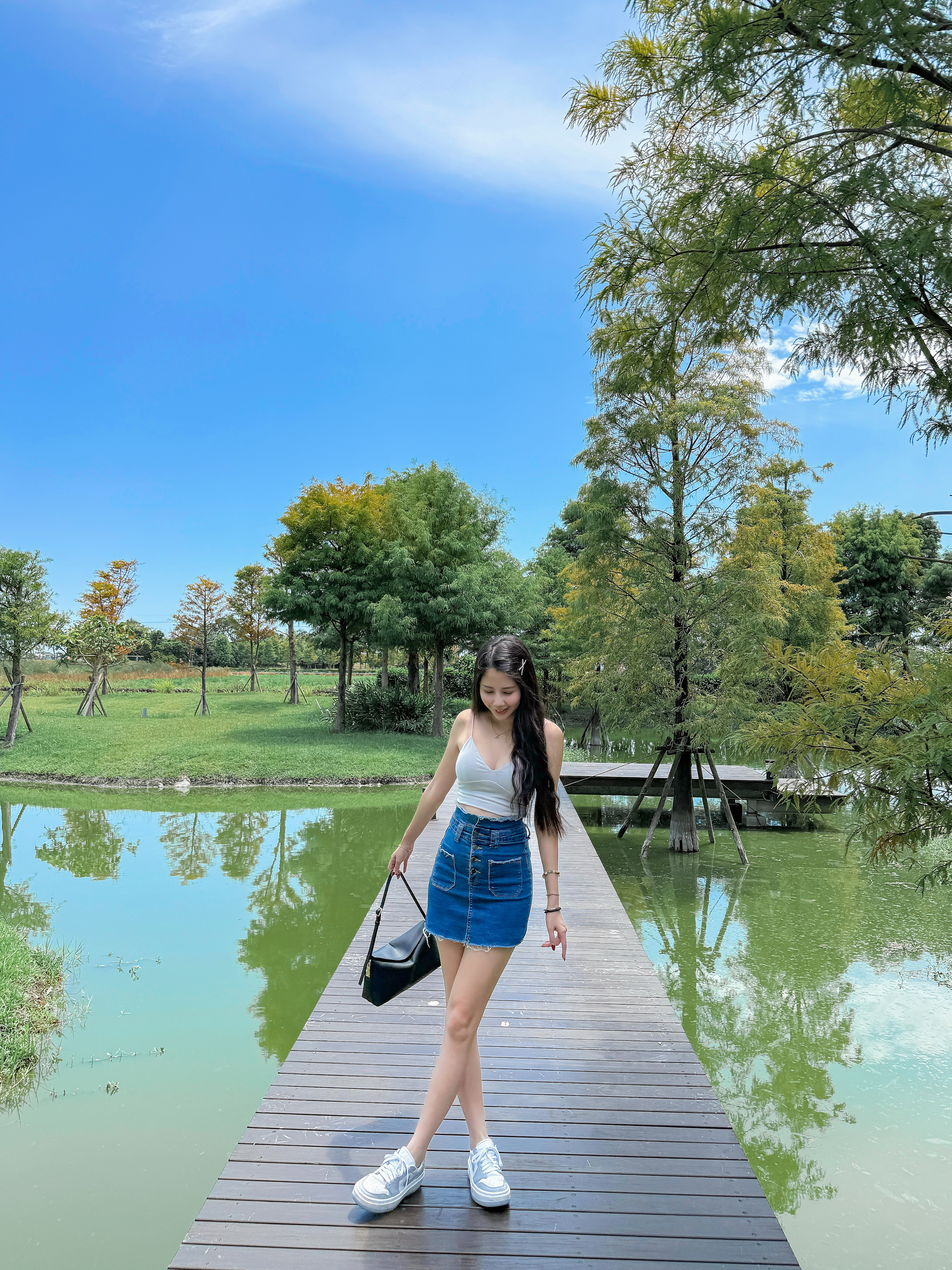 為人與自然搭起橋梁